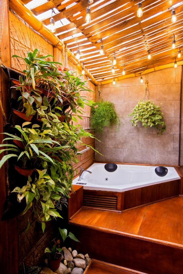 Casa Suculenta ,Monteverde Con Jacuzzi Privado Y Lavanderia Esterno foto