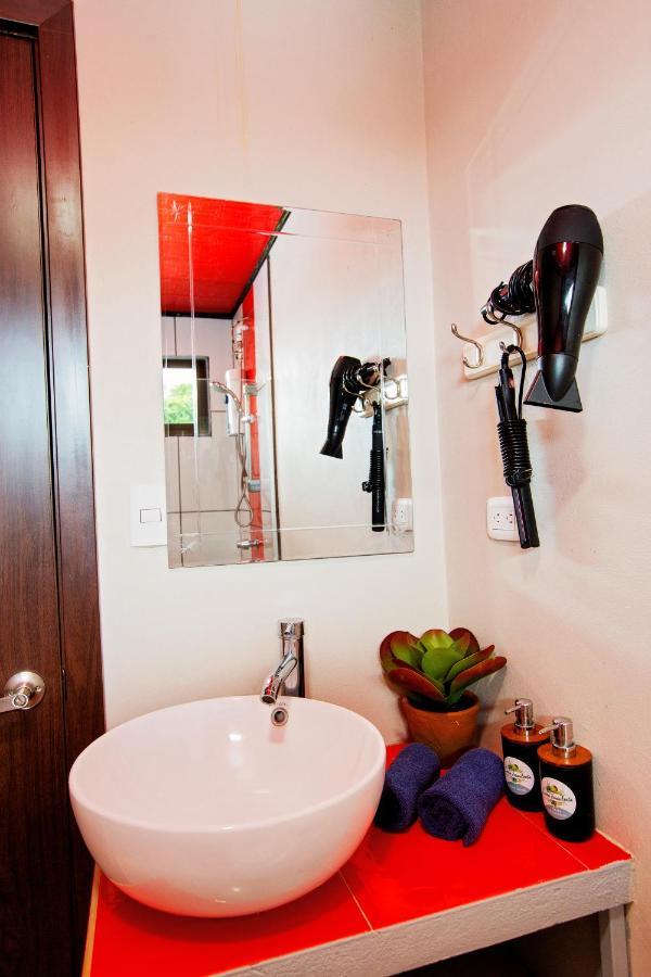 Casa Suculenta ,Monteverde Con Jacuzzi Privado Y Lavanderia Esterno foto